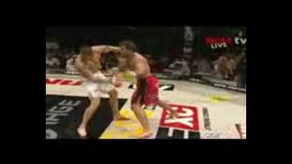 Mma In For The Kill 