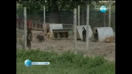 Другата Война Темата На Нова Тв 16.06.2012 г.