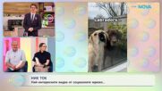 НИК ТОК | Най-любопитното от социалните мрежи | На кафе | 11 мар. 2026