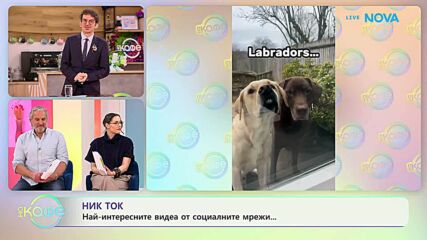 НИК ТОК | Най-любопитното от социалните мрежи | На кафе | 11 мар. 2026