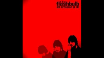 The Flashbulb