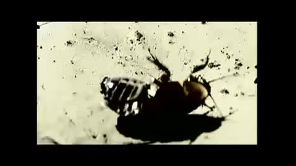 Vader - helleluyah (god Is Dead)