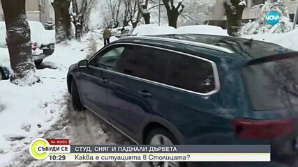 Изкоренени дървета в София и щети по коли