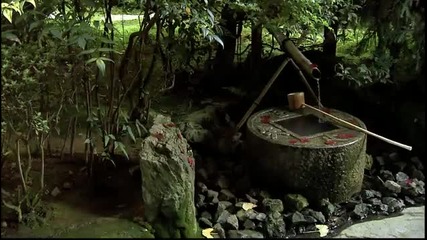 The Beauty Of Japan
