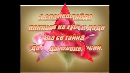 @ Гордостта на розата @ 