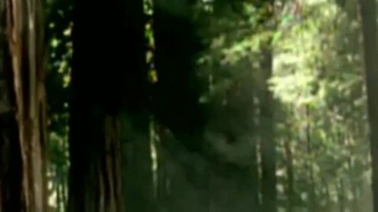 Велика!!! Lil Wayne Ft. Bruno Mars - Mirror