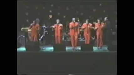The Dell - Vikings - Come Go with Me 1997