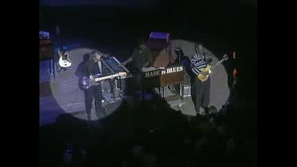 Luther Allison - Watching You 
