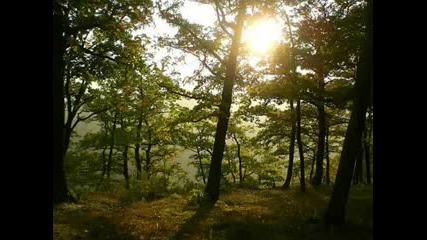 Chante la Nature