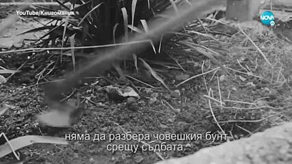 Мария Лалева: Няма малки и големи истории. Всеки живот може да се превърне в приказка