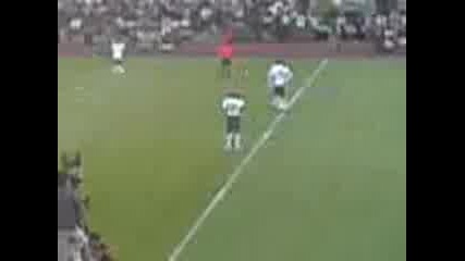 mitko berbatov