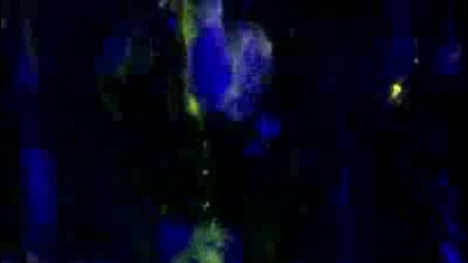 Aggro Santos feat Kimberly Wyatt - Candy (official Video) 