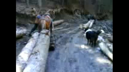 kone diko