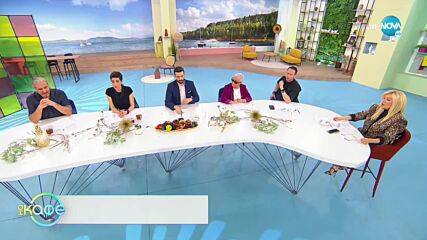 Пазарджик ще построи собствен соларен парк - „На кафе” (30.03.2022)