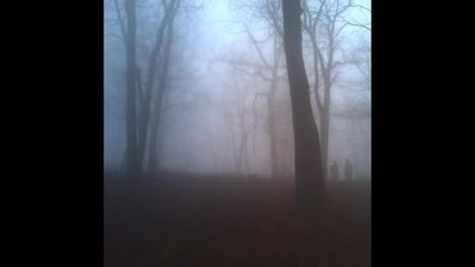 You You Dark Forest - All Eyes On The Darkness Ahead