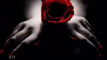 The Lady In Red