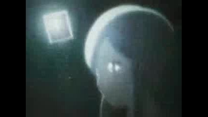 Ichihime - Hikari