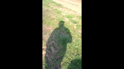 пръскане на пшеница против вредители