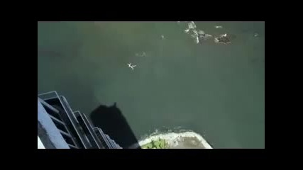 Това се казва луди хора