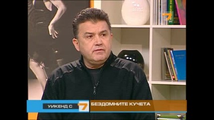 Бездомните кучета – част 1