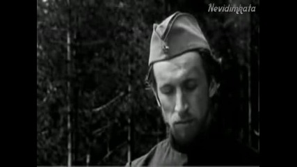 Минно Поле