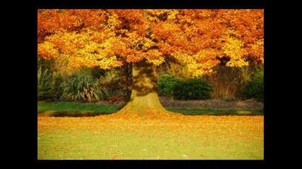 Vivaldi - Autumn