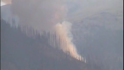 Пожар в резервата "бистришко бранище"- Витоша - Сега !