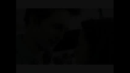 Twilight Guys (sexyback)