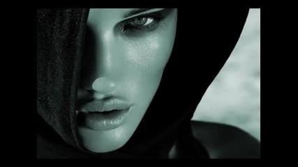 Stealth Elf - Night Dream