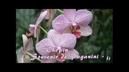 F.chopin - Souvenir de Paganini