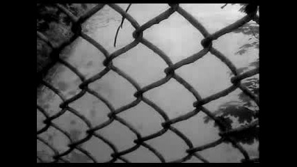 Slipknot - Circle
