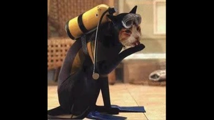 Сладки Котенца - Мих!котета!
