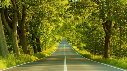 Long Way Back