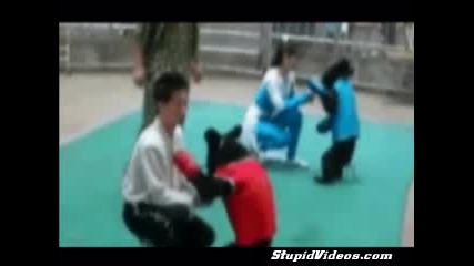 Bear Boxing 