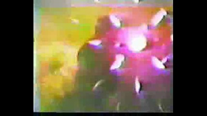 Mutilator - Evil Conspiracy (1987)