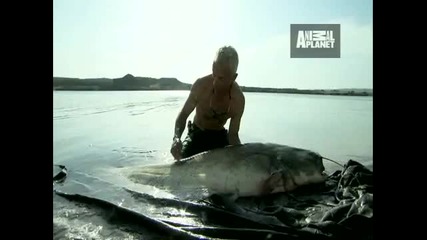River Monsters - Built to Kill 