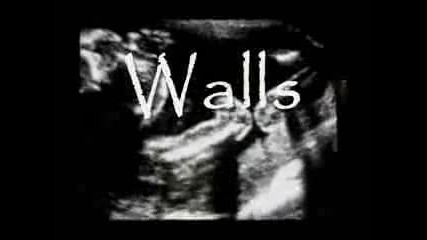 Crass - Walls
