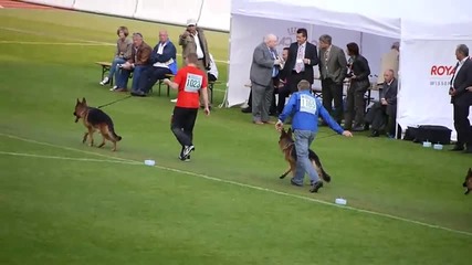 Bszs 2010 - Va1 Ober von Bad - Boll (3)