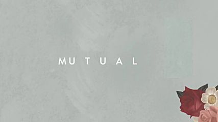 Shawn Mendes - Mutual ( Audio )