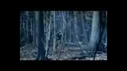 Bullet For My Valentine - Waking The Demon