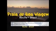 Бразилия избра броненосец за талисман на Мондиал 2014
