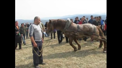 На Пешо горския коня в Роман 1ви. 24.03.2012