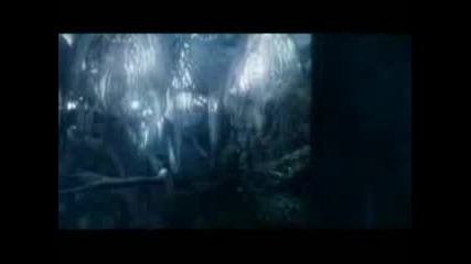 Lord Of The Rings - Lothlorien