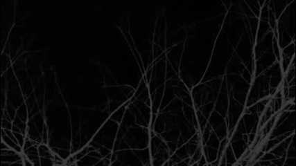 Goodnight Moon- The Movie