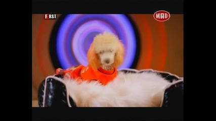 : Буба - По този начин - High Quality 