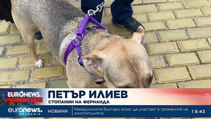 Кучето Фернанда отново посрещна депутатите в първия им работен ден