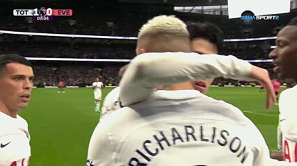Tottenham Hotspur with a Goal vs. Everton
