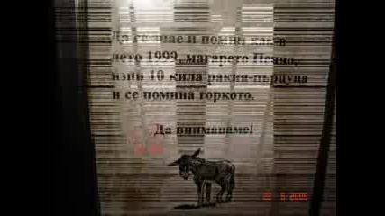 Смешни Снимки