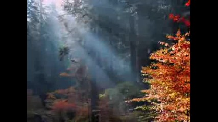Song For Anna - Paul Mauriat