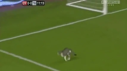 Коте нахлува на стадиона и спира играта
